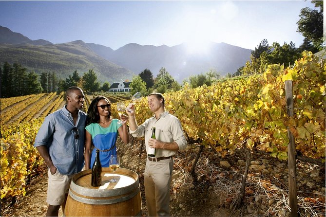 Cape Town Super Saver: Cape Point Tour plus Wine Tasting in Stellenbosch - Three days that cover Cape Town’s big four