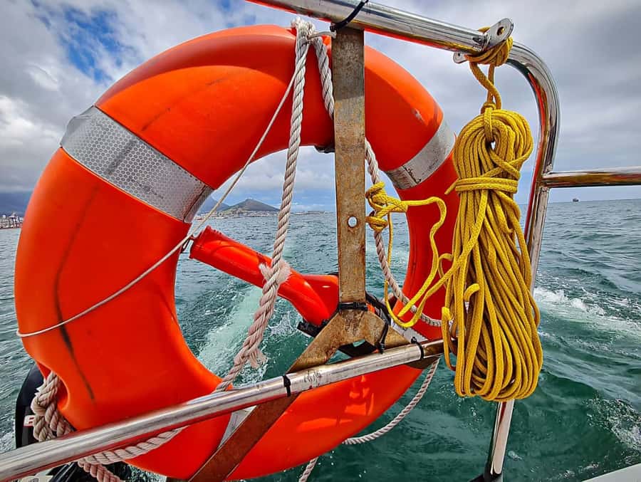 Cape Town: Table Bay Cruise by Catamaran - Key points to know before you sail