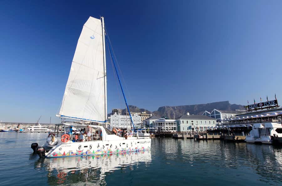 Cape Town: Table Bay Cruise by Catamaran - Setting out from the Waterfront