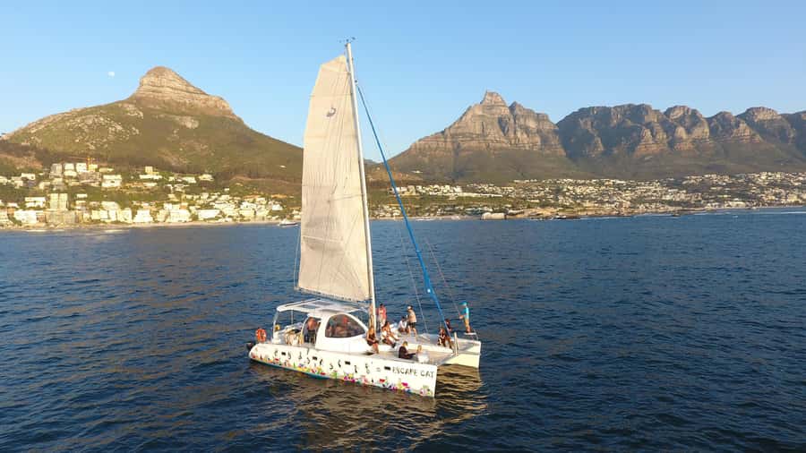 Cape Town: Table Bay Cruise by Catamaran - Table Mountain from the bay