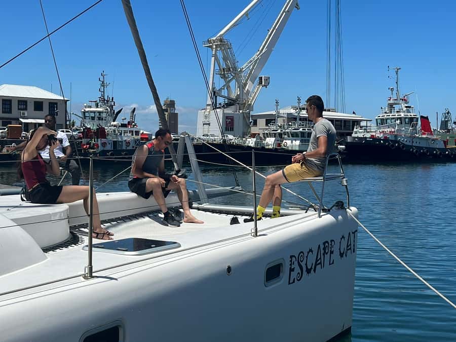 Cape Town: Table Bay Cruise by Catamaran - What the one-hour route feels like