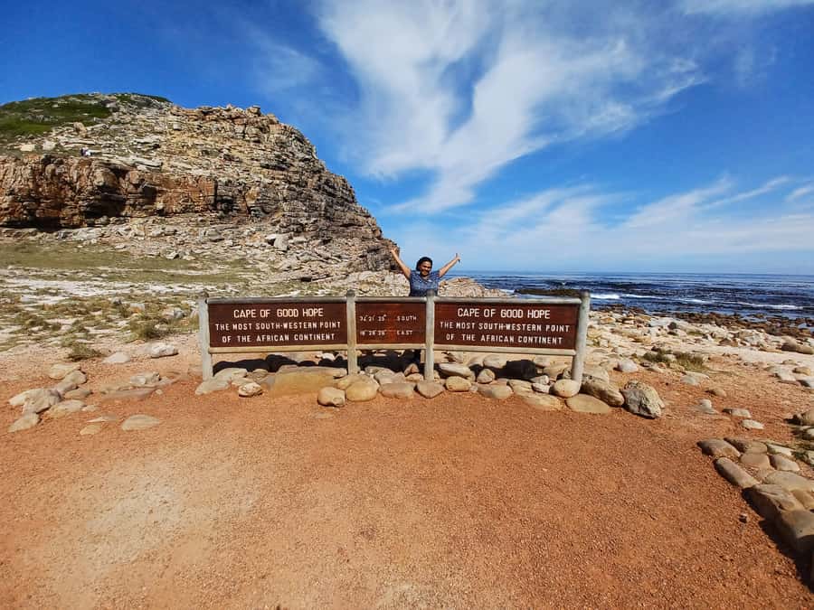 Cape Town: Table Mountain and Penguins Private Guided Tour - The cliffs and ocean of Chapmans Peak Drive