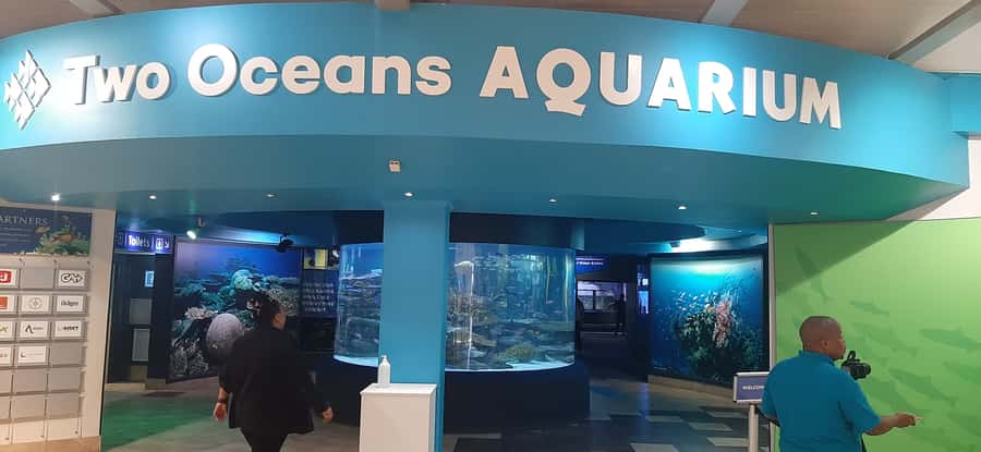 Cape Town: Table Mountain and Robben Island Tour - Why this Cape Town combination works