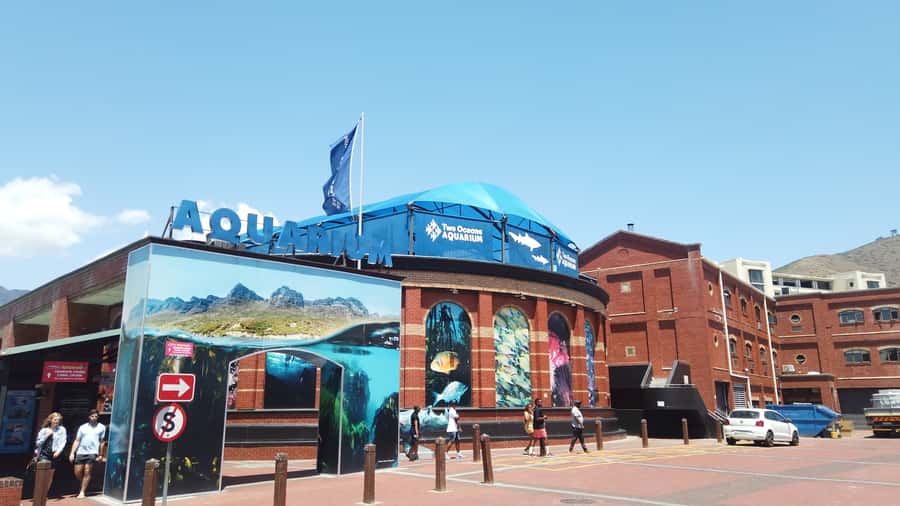 Cape Town: Table Mountain and Robben Island Tour - What happens between the two major stops