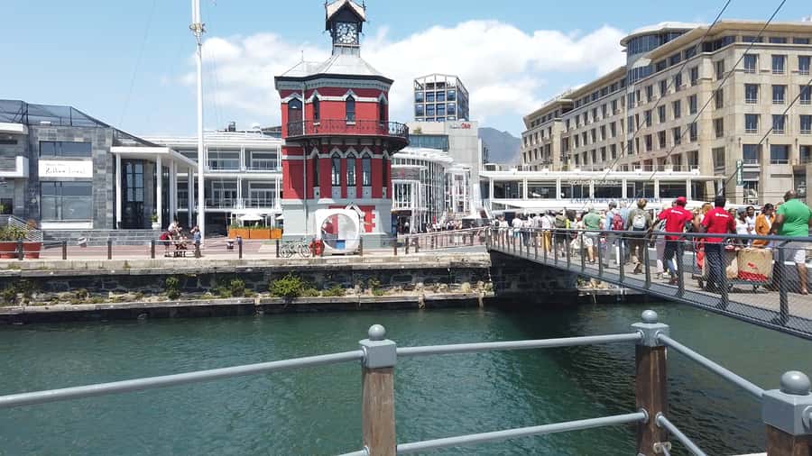Cape Town: Table Mountain and Robben Island Tour - Who should book this day