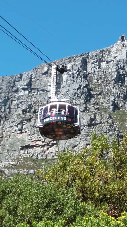 Cape Town: Table Mountain Cable Car Ticket - Who should book this experience?