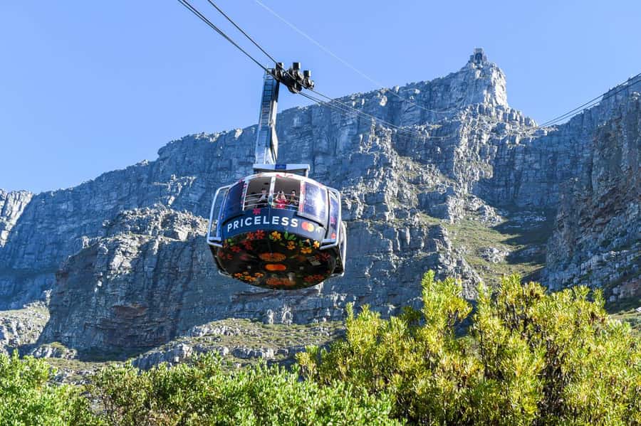 Cape Town: Table Mountain & Cape of Good Hope Full-Day Tour - Key points to know before booking
