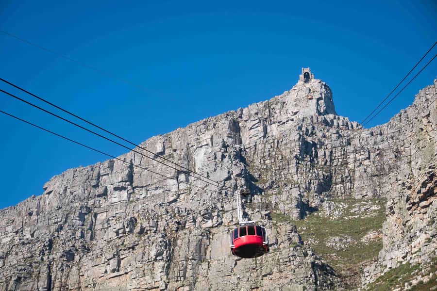 Cape Town: Table Mountain, Cape Point, and Penguins Tour - Table Mountain and the cableway decision