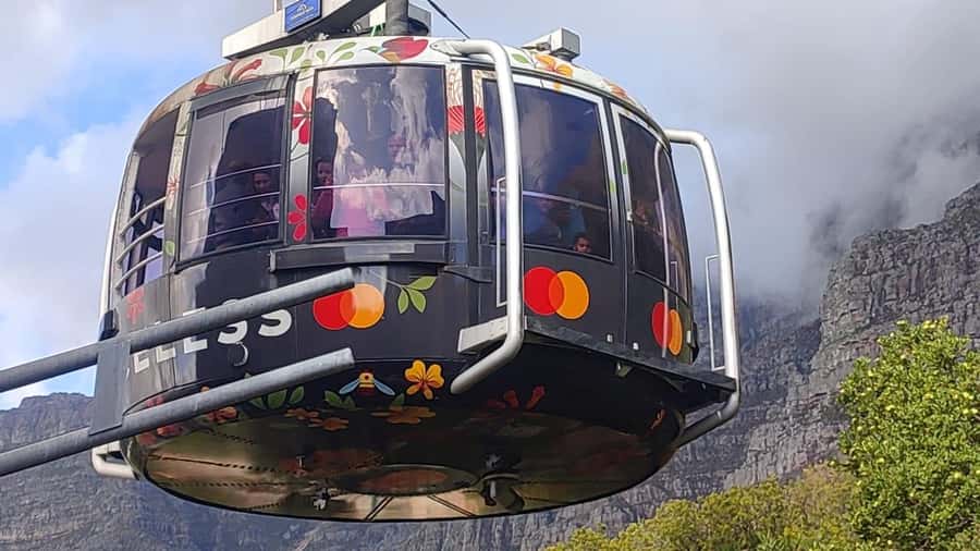 Cape Town: Table Mountain, Cape Point, & Penguins Group Tour - Camps Bay, Hout Bay, and Chapman’s Peak Drive