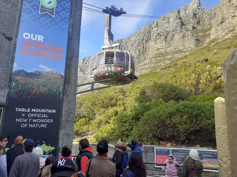 Cape Town: Table Mountain,Cape Point & Penguins Private Tour - Key points at a glance