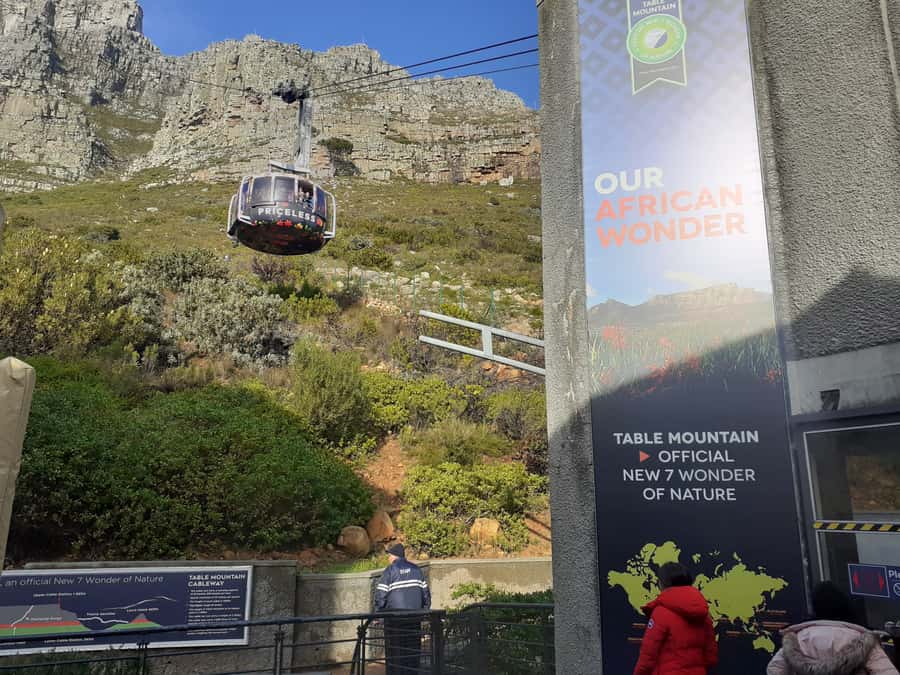 Cape Town: Table Mountain,Cape Point & Penguins Private Tour - Boulders Beach brings you close to African penguins