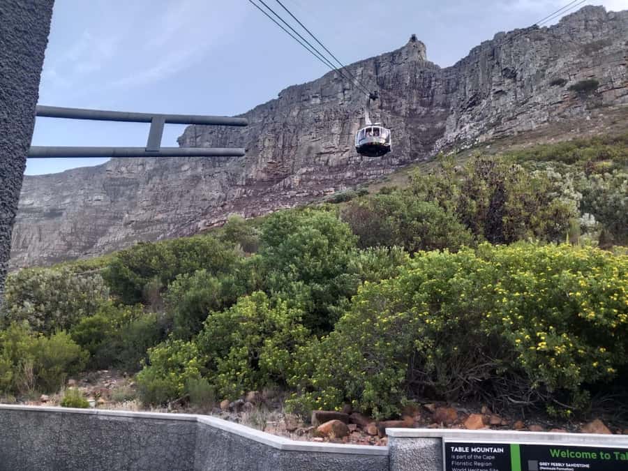 Cape Town: Table Mountain Half-Day Tour with Cable Car Ride - Summit Views Across Cape Town and the Twelve Apostles
