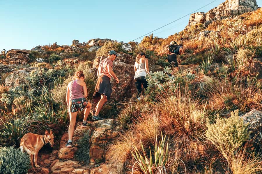 Cape Town: Table Mountain Hike via India Venster - Why India Venster feels different from a normal Table Mountain hike