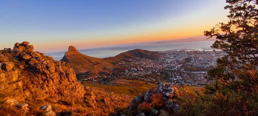 Cape Town: Table Mountain Hike via India Venster Morning - Fynbos, rock, and local mountain knowledge