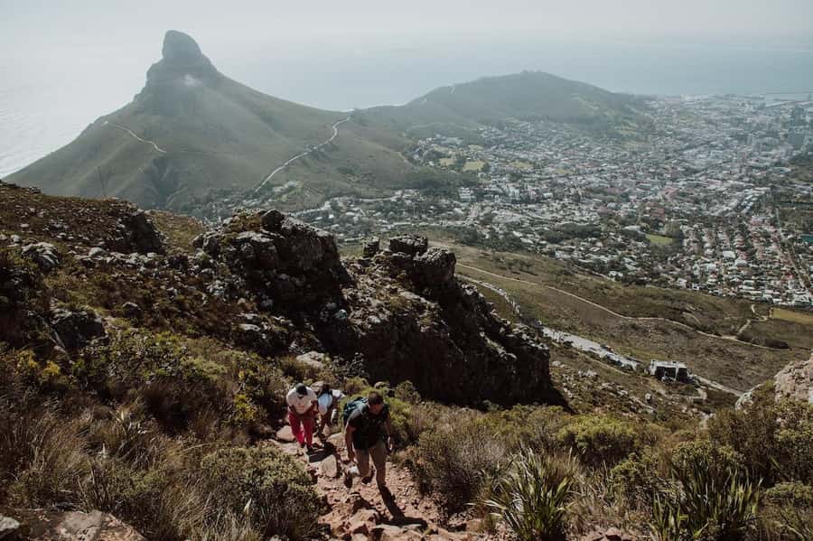 Cape Town: Table Mountain Hike with an Experienced Guide - A guided climb with several personalities
