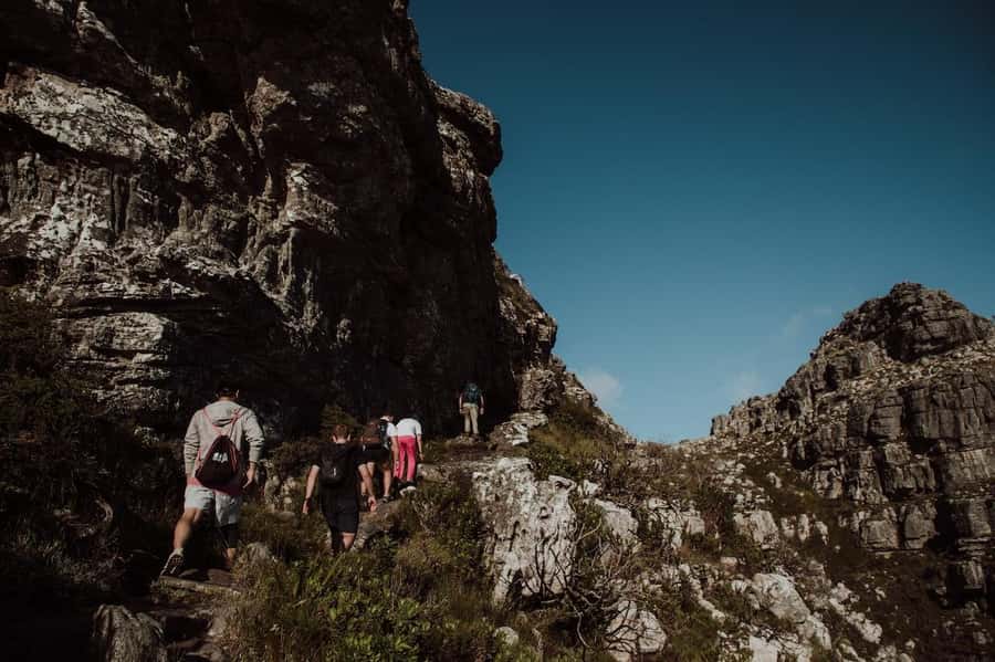 Cape Town: Table Mountain Hike with an Experienced Guide - Skeleton Gorge through the forest