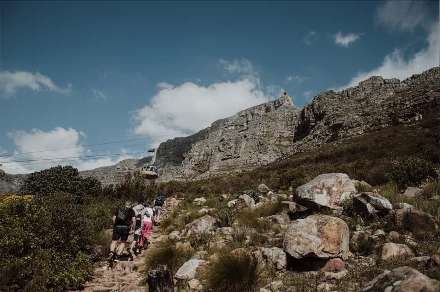 Cape Town: Table Mountain Hike with an Experienced Guide - Weather, fitness, and what to pack