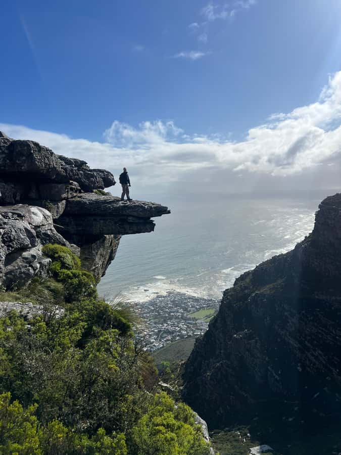 Cape Town: Table Mountain Hike with an Experienced Guide - Choosing between Table Mountain and Lion’s Head