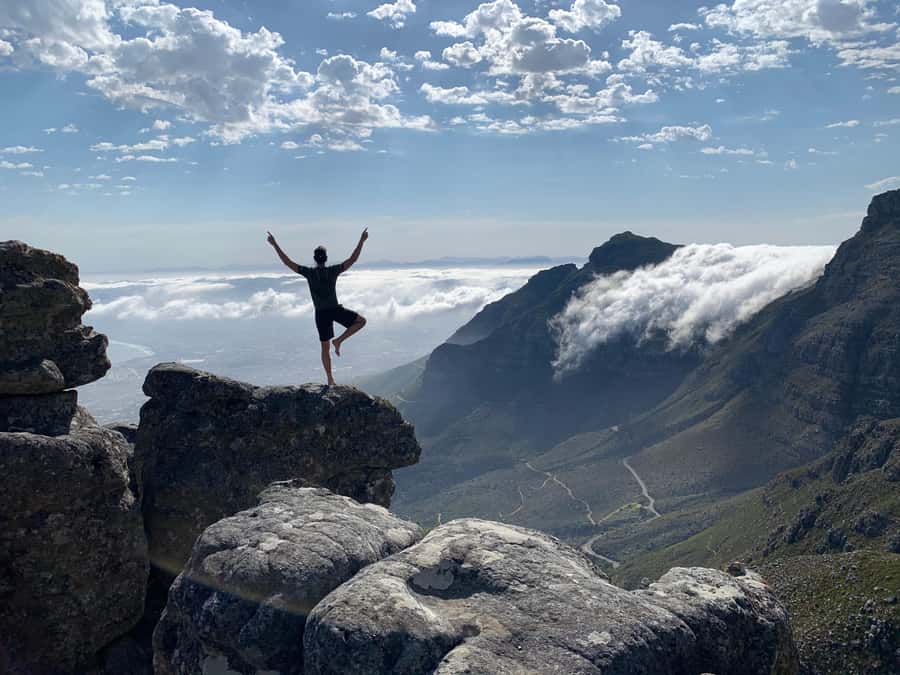 Cape Town: Table Mountain Hike with an Expert Guide - Fynbos, birds, and the Cape Floral Kingdom