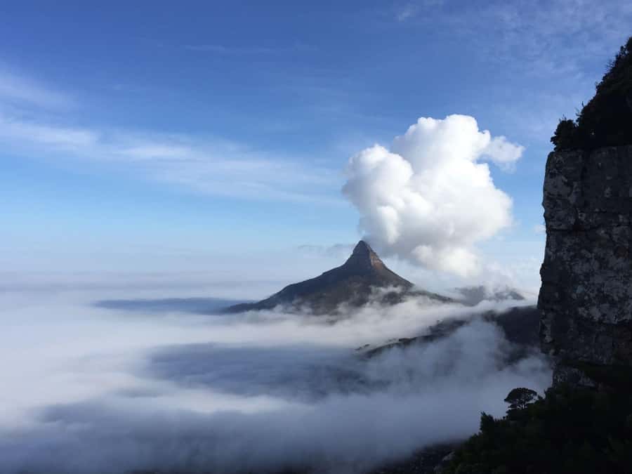 Cape Town: Table Mountain Kasteelspoort Hiking Trail - Is $112 a fair price?