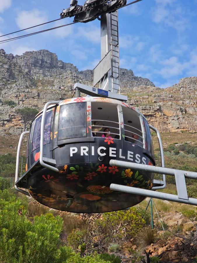 Cape Town Table Mountain Penguins & Cape Point All-inclusive - Riding the cable car up Table Mountain