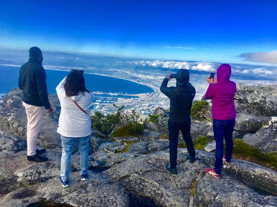 Cape Town: Table Mountain, Penguins & Cape Point Shared Tour - Table Mountain: the day’s essential view