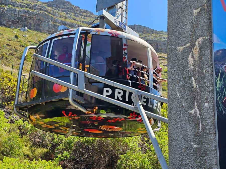 Cape Town: Table MT, Cape Point & Penguins Instagram Tour - Key points to know before booking