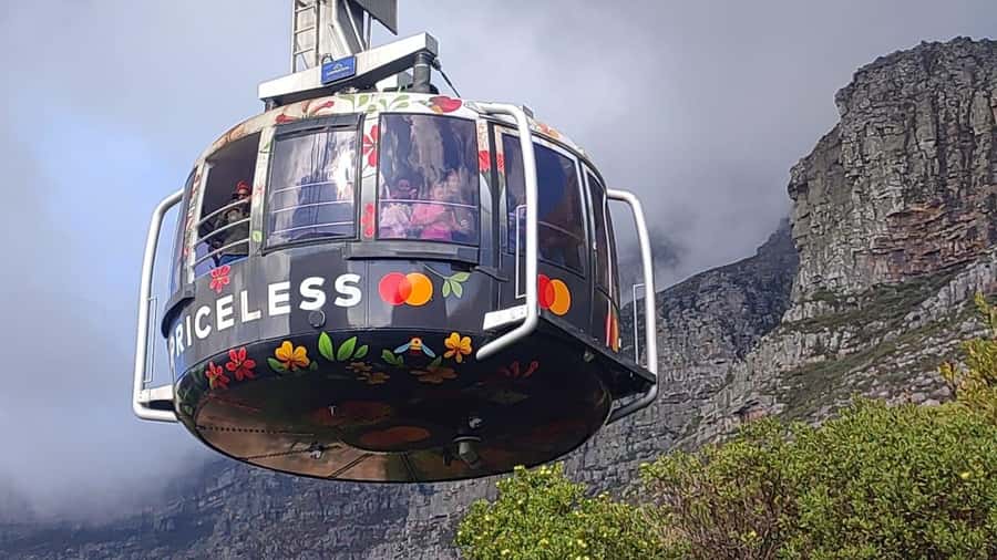 Cape Town: Table MT, Cape Point & Penguins Instagram Tour - Why this one-day route works