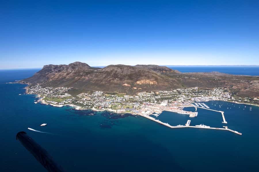 Cape Town to Cape Point Helicopter Flight - 48Min - Who Will Enjoy This Flight Most?