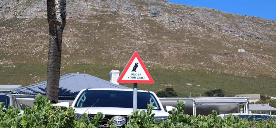 Cape Town: Tour Cape Point & Boulders Beach Penguin Day Trip - Simon’s Town is the lunch stop, but plan your appetite