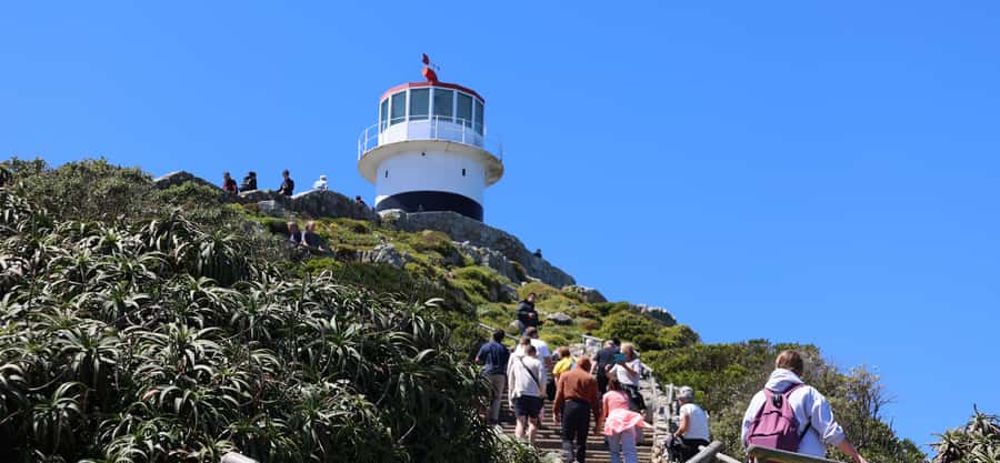 Cape Town: Tour Cape Point & Boulders Beach Penguin Day Trip - Bo-Kaap starts the day with color and context