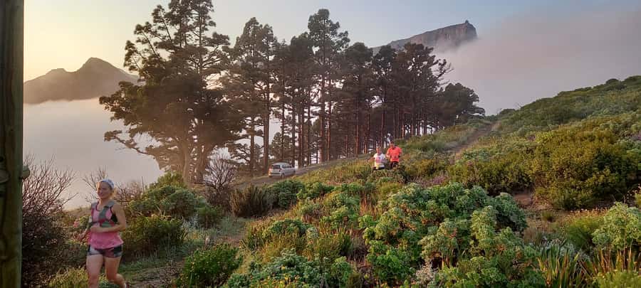 Cape Town: Trail Run Lion's Head and Signal Hill Morning - The first climb along Lions Head