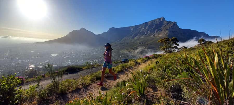 Cape Town: Trail Run Lion's Head and Signal Hill Morning - Cape Flora between the viewpoints