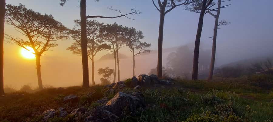 Cape Town: Trail Run Lion's Head and Signal Hill Morning - Is $73 a fair price?