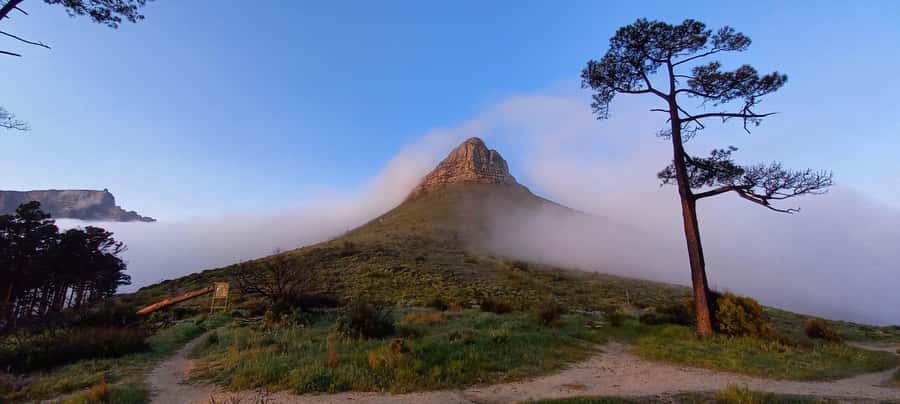 Cape Town: Trail Run Lion's Head and Signal Hill Morning - Starting at Kloof Nek before the city wakes