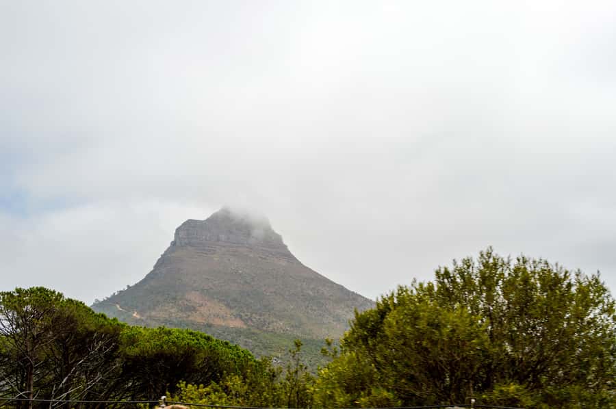 Cape Town Uncovered : Half-Day City Tour and Table Mountain - Why this five-hour route works well
