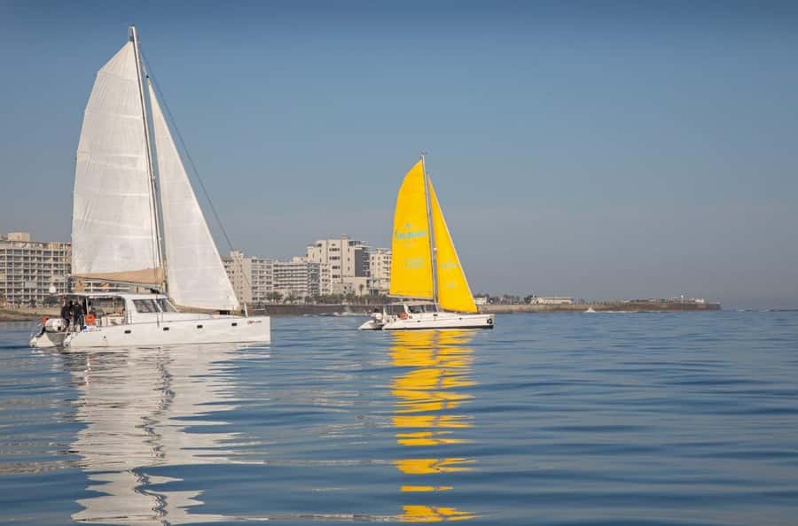 Cape Town: V&A Waterfront 1-Hour Scenic Cruise - Who will enjoy this cruise most?