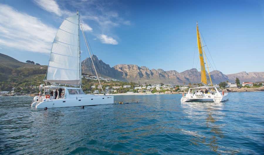 Cape Town: V&A Waterfront 1-Hour Scenic Cruise - Setting out from Cape Town’s North Wharf