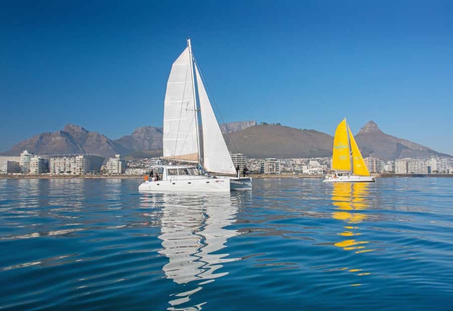 Cape Town: V&A Waterfront 1-Hour Scenic Cruise - A gentle hour on the Atlantic