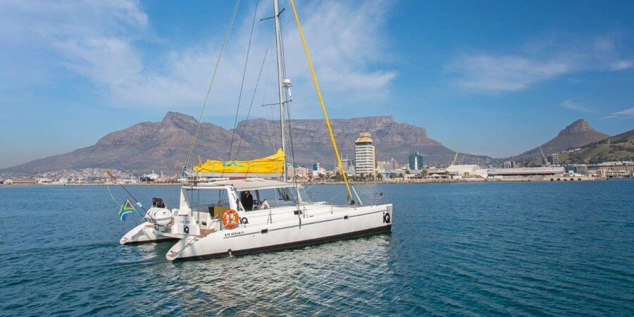 Cape Town: V&A Waterfront 1-Hour Scenic Cruise - Watching for seals, dolphins, penguins, and whales