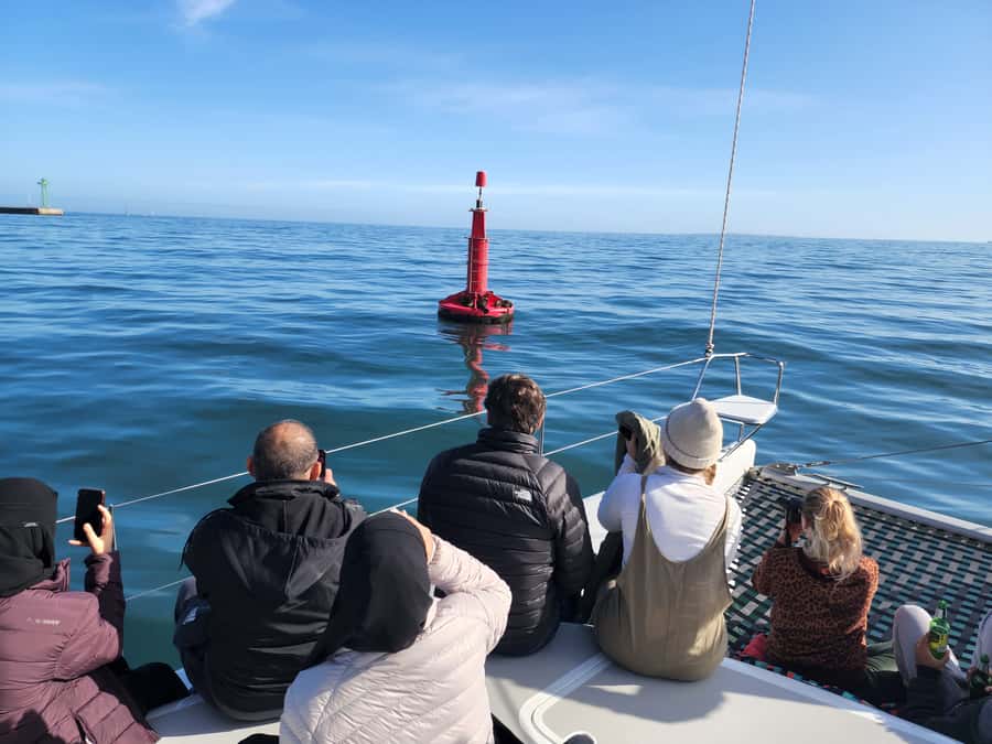Cape Town: V&A Waterfront 1-Hour Scenic Cruise - Weather, comfort, and what to bring