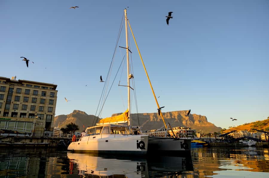 Cape Town: V&A Waterfront Gin Voyage Cruise - From the V&A Waterfront to open Atlantic views