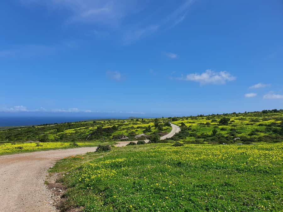 Cape Town: West Coast Spring Tour 2025 - How the eight-hour day works