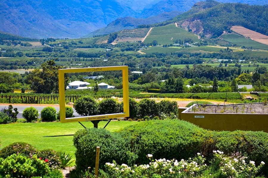 Cape Town: Wine Tram & Winelands Tour with Tastings & Pickup - Who will get the most from this tour?