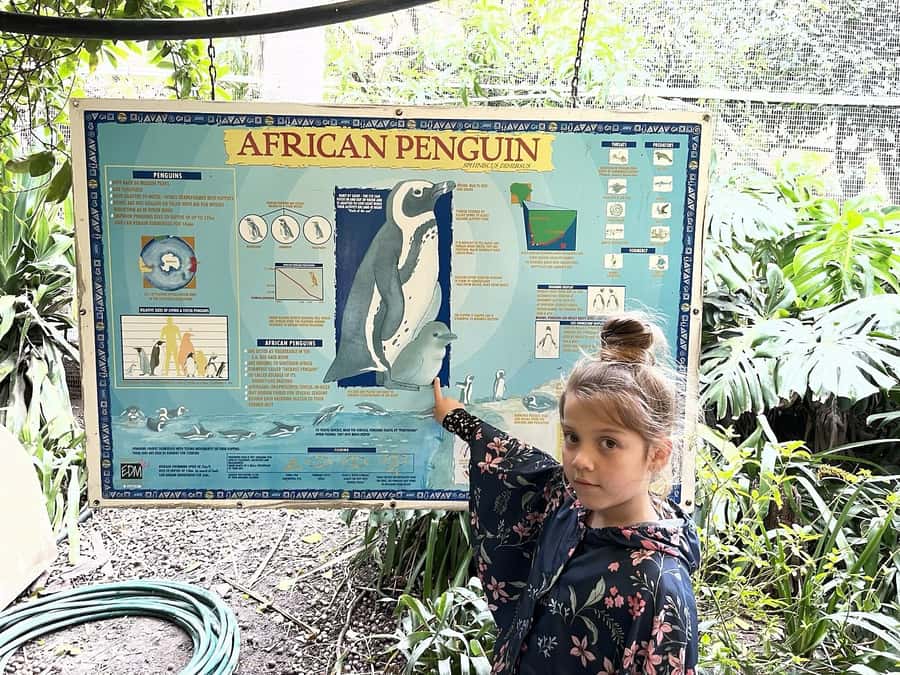 Cape Town: World of Birds & Animal Sanctuary - Finding more than birds along the route