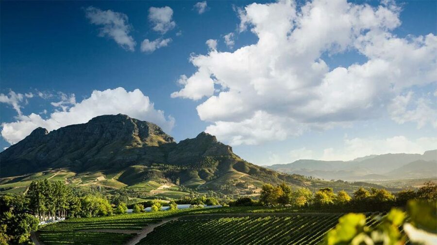 Cape Wineland 3 Award Winning Vineyards - Starting in Stellenbosch, the Cape’s oldest wine region