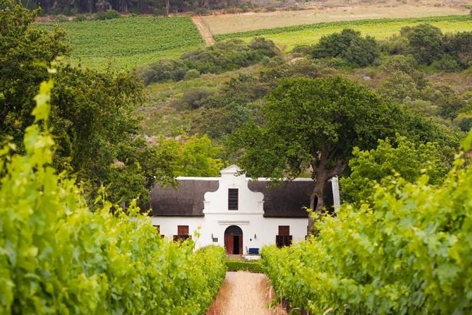 Cape Winelands and Wine Tasting Full Day Tour - Fairview puts cheese beside the wine