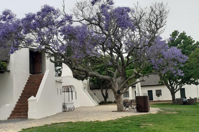 Cape Winelands and Wine Tasting Full Day Tour - Stellenbosch rewards a short walk