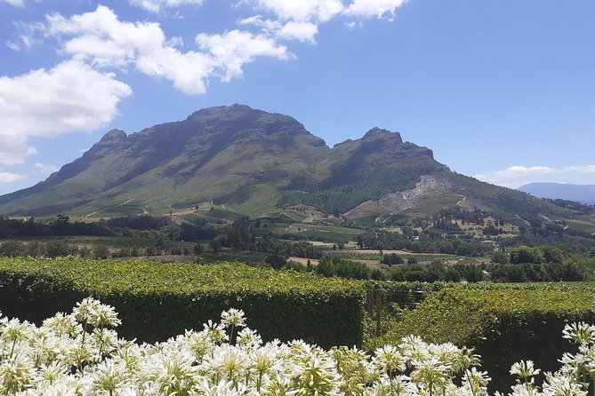Cape Winelands and Wine Tasting Full Day Tour - The guide can make or break the experience