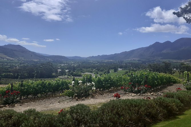 Cape Winelands and Wine Tasting Full Day Tour - Marianne pairs red wine with biltong